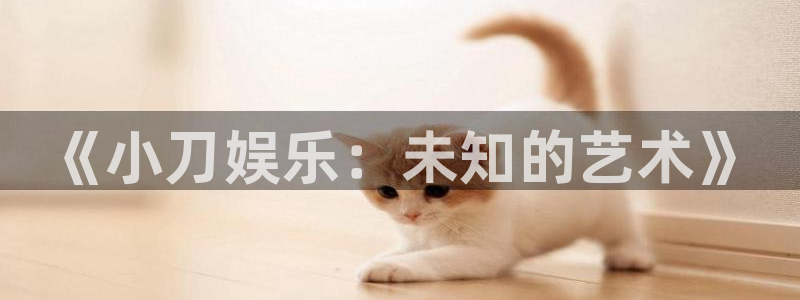 红足1世足球网页版入口：《小刀娱乐：未知的艺术》