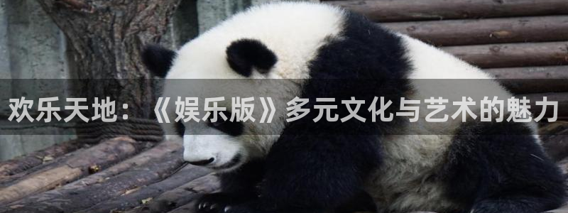 红足1世：欢乐天地：《娱乐版》多元文化与艺术的魅力