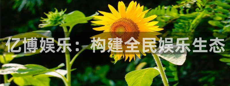 红足1世：亿博娱乐：构建全民娱乐生态