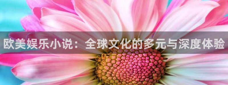 红足1世新：欧美娱乐小说：全球文化的多元与深度体验