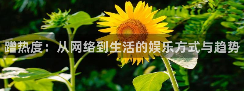 红足1世1站：蹭热度：从网络到生活的娱乐方式与趋势