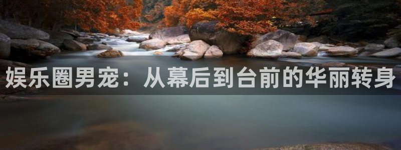 红足1世新：娱乐圈男宠：从幕后到台前的华丽转身