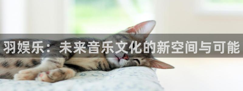 红足1世44814：羽娱乐：未来音乐文化的新空间与可能