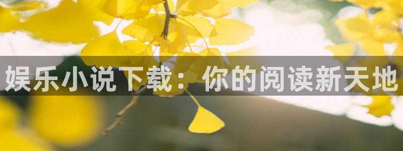 红足1世足球官网入口：娱乐小说下载：你的阅读新天地