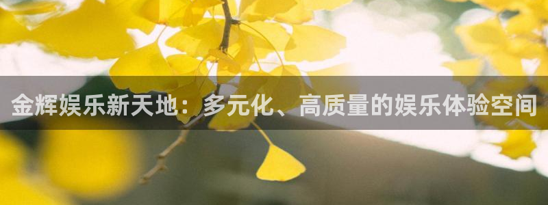 红足1世1站：金辉娱乐新天地：多元化、高质量的娱乐体验空间
