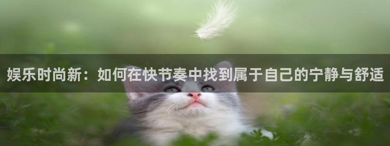 红足1世66814手机：娱乐时尚新：如何在快节奏中找到属于自己的宁静与舒适
