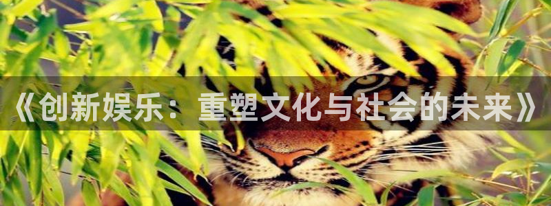 红足1世足球网页版入口：《创新娱乐：重塑文化与社会的未来》