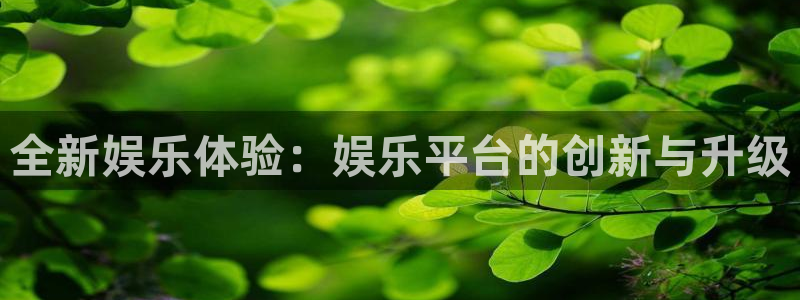 红足1世足球网址大全：全新娱乐体验：娱乐平台的创新与升级