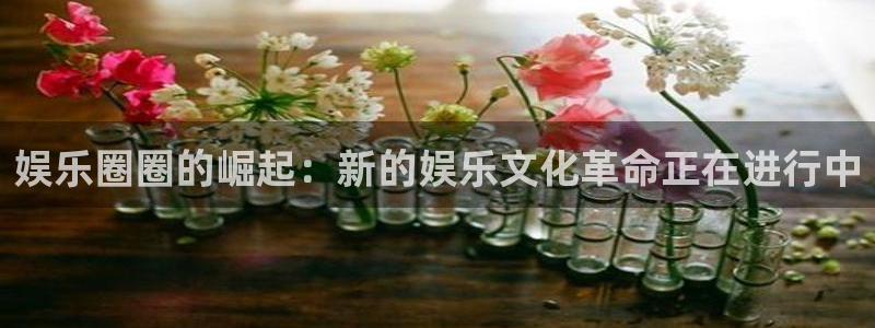 红足1世足球手机版：娱乐圈圈的崛起：新的娱乐文化革命正在进行中