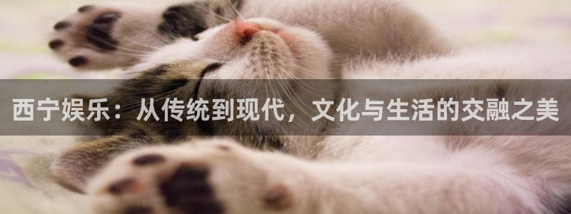 红足1世足球官网入口：西宁娱乐：从传统到现代，文化与生活的交融之美