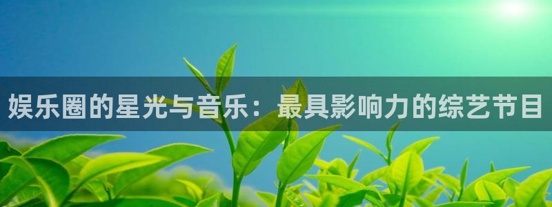 红足1世足球官网入口：娱乐圈的星光与音乐：最具影响力的综艺节目